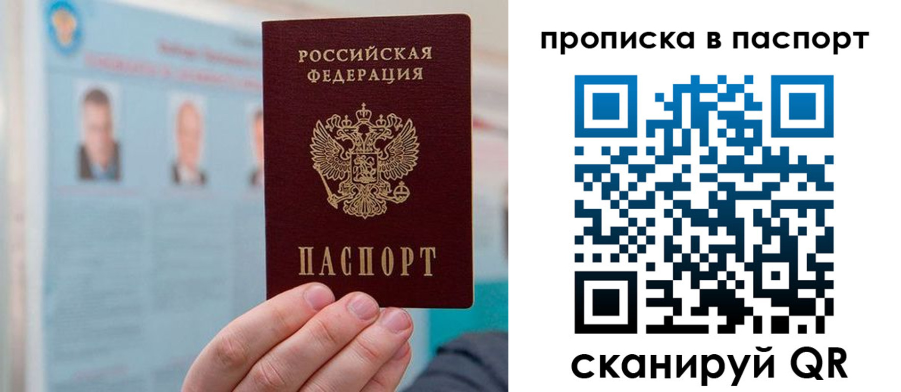 прописка гарантия в Белгородской области